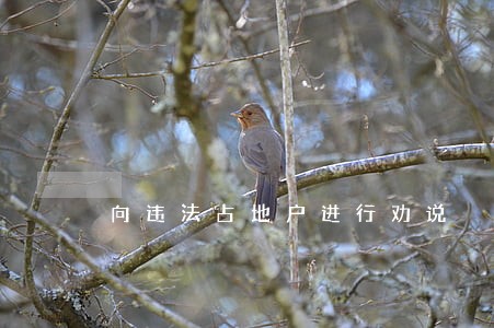 向违法占地户进行劝说 向违法占地户进行劝说