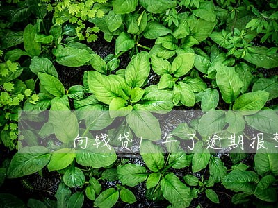向钱贷1年了逾期报警 向钱贷1年了逾期报警