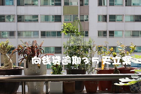 向钱贷逾期35天立案 向钱贷逾期35天立案