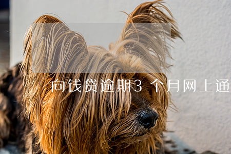 向钱贷逾期3个月网上通缉 向钱贷逾期3个月网上通缉