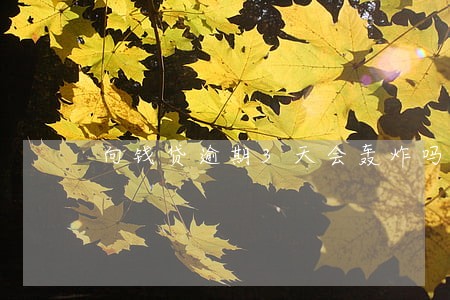 向钱贷逾期3天会轰炸吗 向钱贷逾期3天会轰炸吗