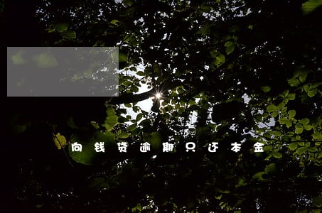 向钱贷逾期只还本金