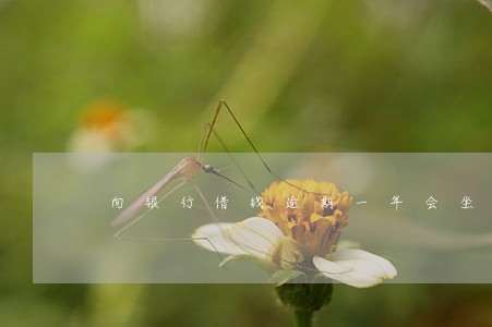 向银行借钱逾期一年会坐牢