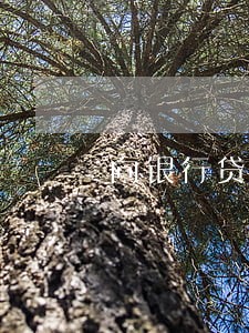 向银行贷款逾期不还 向银行贷款逾期不还