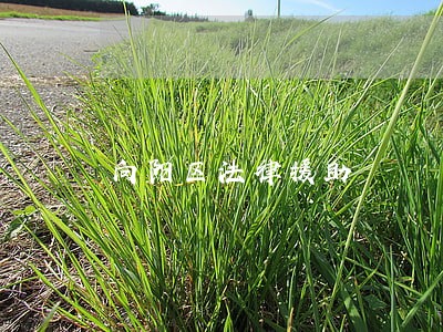 向阳区法律援助 向阳区法律援助