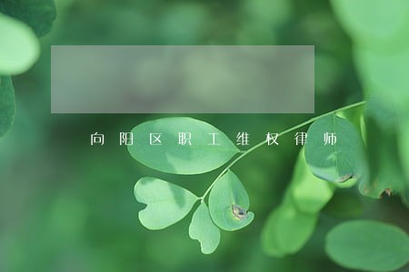 向阳区职工维权律师 向阳区职工维权律师