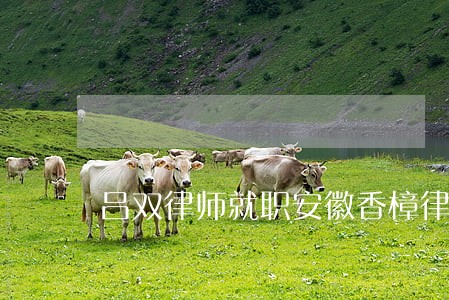 吕双律师就职安徽香樟律师事务所 吕双律师就职安徽香樟律师事务所