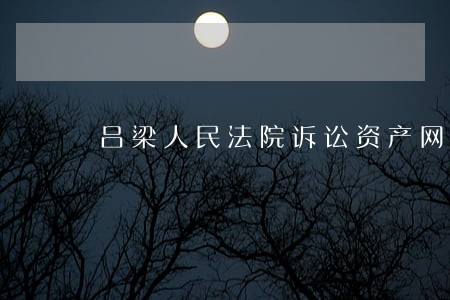 吕梁人民法院诉讼资产网 吕梁人民法院诉讼资产网