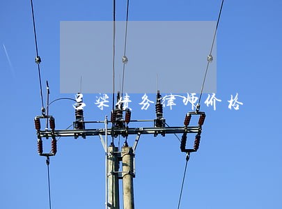 吕梁债务律师价格 吕梁债务律师价格