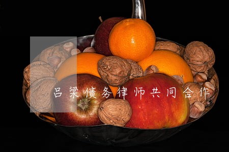 吕梁债务律师共同合作 吕梁债务律师共同合作