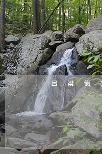 吕梁债务律师特点