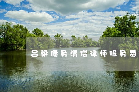 吕梁债务清偿律师服务费 吕梁债务清偿律师服务费