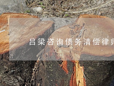 吕梁咨询债务清偿律师哪家好 吕梁咨询债务清偿律师哪家好