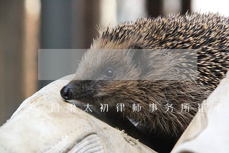 吕梁太初律师事务所崔承宇 吕梁太初律师事务所崔承宇