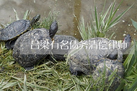 吕梁有名债务清偿律师 吕梁有名债务清偿律师