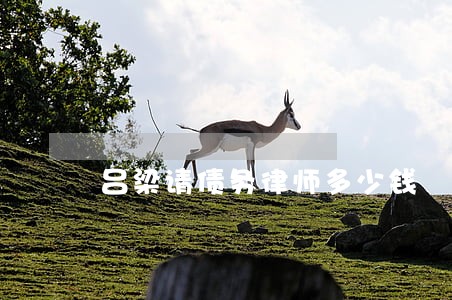 吕梁请债务律师多少钱 吕梁请债务律师多少钱