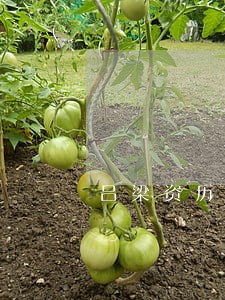 吕梁资历深的债务律师顾问 吕梁资历深的债务律师顾问