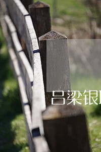 吕梁银联债务债权案律师 吕梁银联债务债权案律师