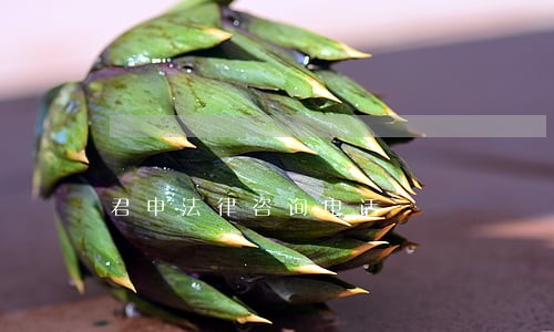 君申法律咨询电话 君申法律咨询电话