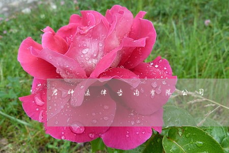 君绅法律咨询有限公司 君绅法律咨询有限公司