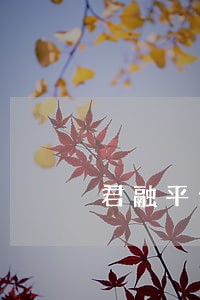 君融平台逾期方案 君融平台逾期方案