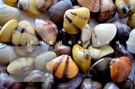 君融理财逾期了怎么报案 君融理财逾期了怎么报案