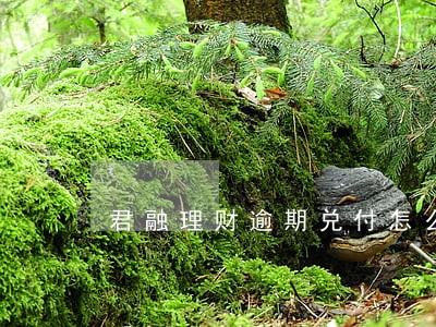 君融理财逾期兑付怎么办 君融理财逾期兑付怎么办