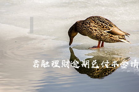 君融理财逾期兑付本金情况 君融理财逾期兑付本金情况