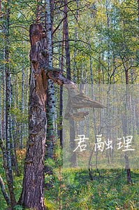 君融理财逾期本金 君融理财逾期本金