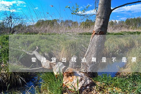 君融贷出现逾期是不是要跑
