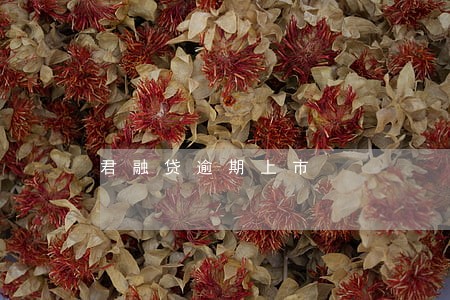 君融贷逾期上市 君融贷逾期上市
