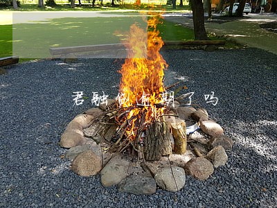 君融贷逾期了吗