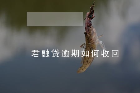 君融贷逾期如何收回 君融贷逾期如何收回