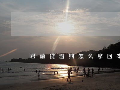 君融贷逾期怎么拿回本金