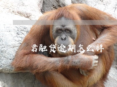 君融贷逾期怎么样 君融贷逾期怎么样