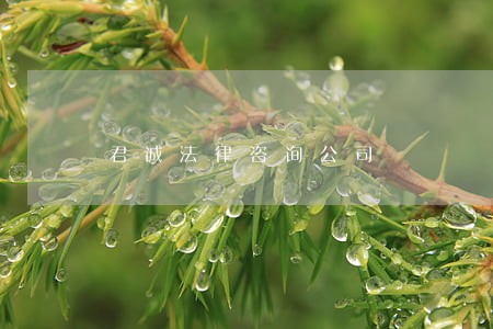 君诚法律咨询公司 君诚法律咨询公司