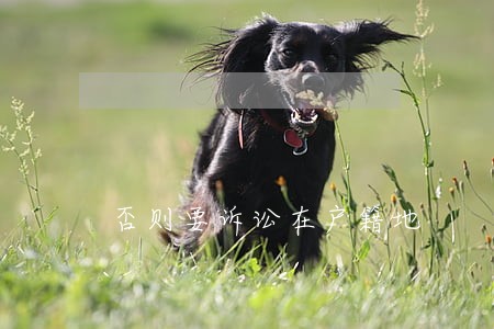 否则要诉讼在户籍地 否则要诉讼在户籍地