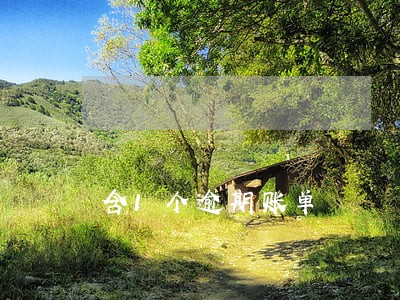 含1个逾期账单 含1个逾期账单