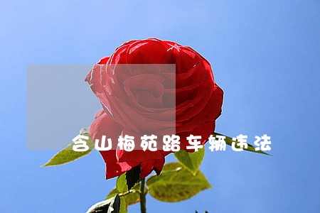 含山梅苑路车辆违法 含山梅苑路车辆违法