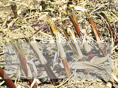 含泪鉴完离婚协议 含泪鉴完离婚协议
