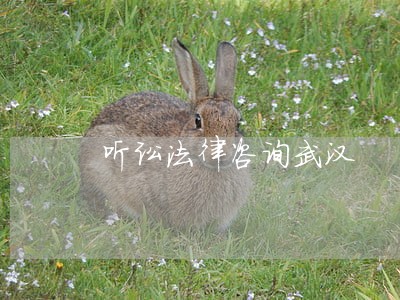 听讼法律咨询武汉 听讼法律咨询武汉