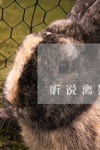 听说离婚到法院很麻烦 听说离婚到法院很麻烦