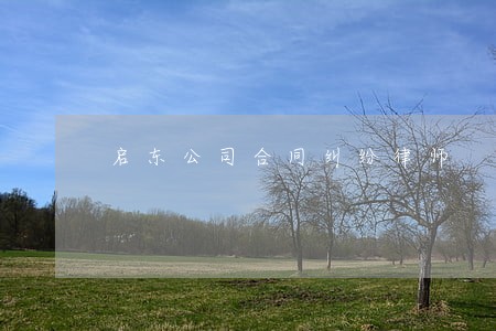 启东公司合同纠纷律师 启东公司合同纠纷律师
