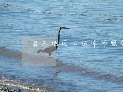 启东地区工伤律师服务平台 启东地区工伤律师服务平台
