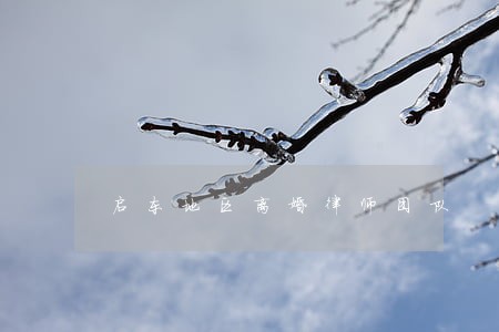 启东地区离婚律师团队