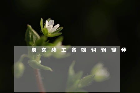 启东施工合同纠纷律师 启东施工合同纠纷律师