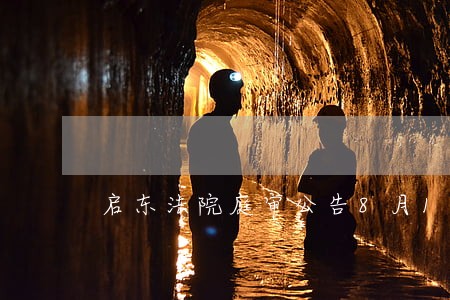 启东法院庭审公告8月12日