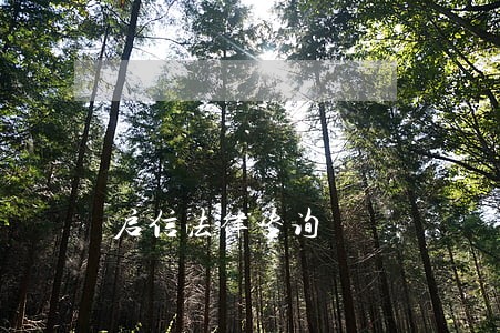 启信法律咨询