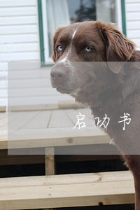 启功书法规律 启功书法规律