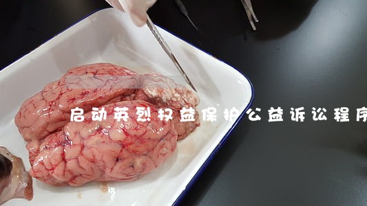 启动英烈权益保护公益诉讼程序 启动英烈权益保护公益诉讼程序